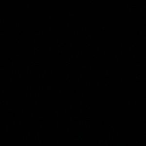 Meet your Posher, Daniya